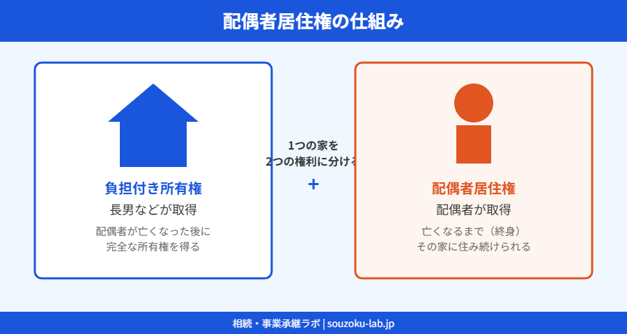 配偶者居住権の仕組み図解
